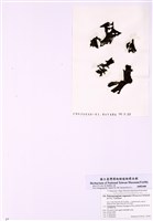藏品(海绵藻)的圖片